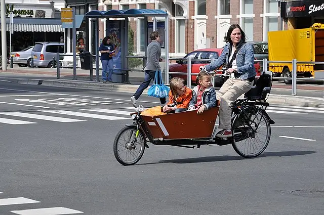 Bicicleta de carga